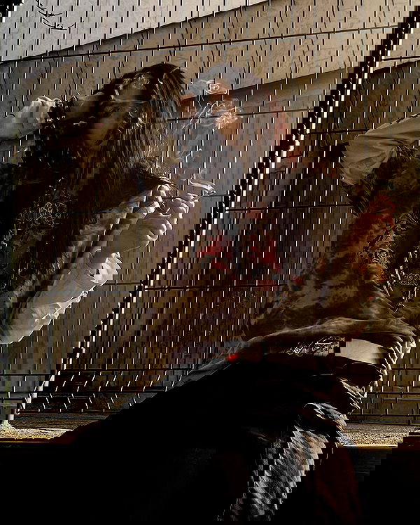 najavamp najavamp archive image