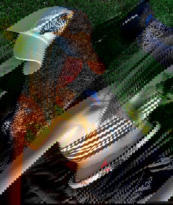 najavamp najavamp archive image