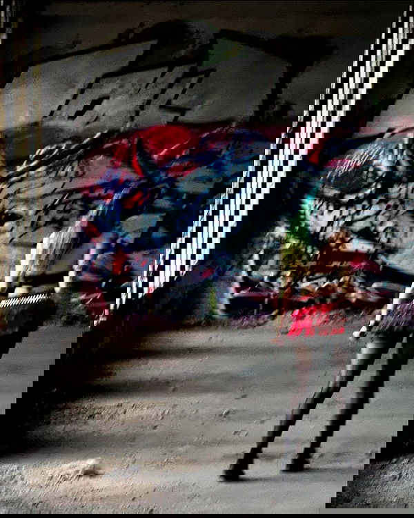 najavamp najavamp archive image