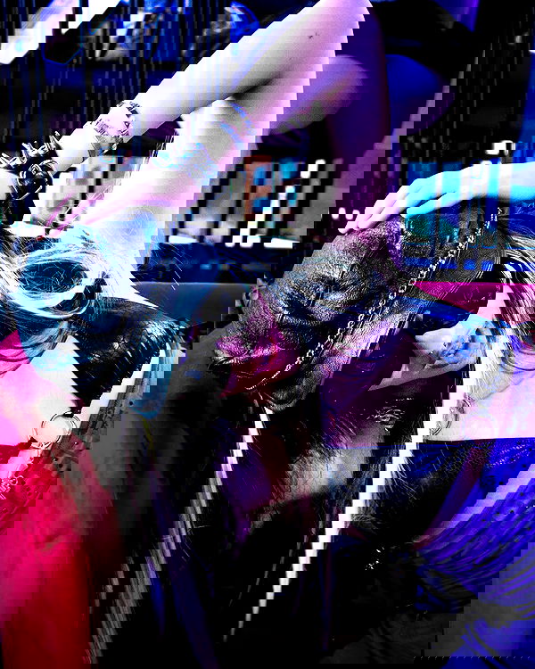 najavamp najavamp archive image