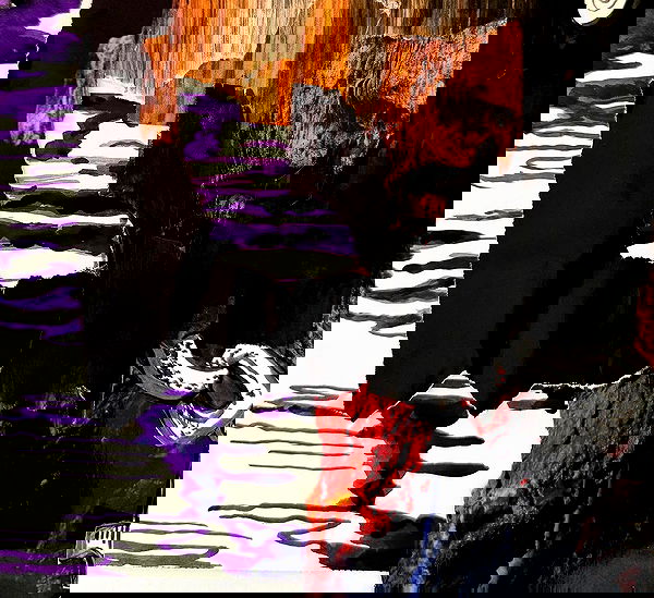 najavamp najavamp archive image