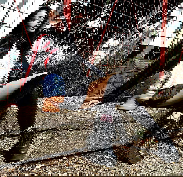 najavamp najavamp archive image