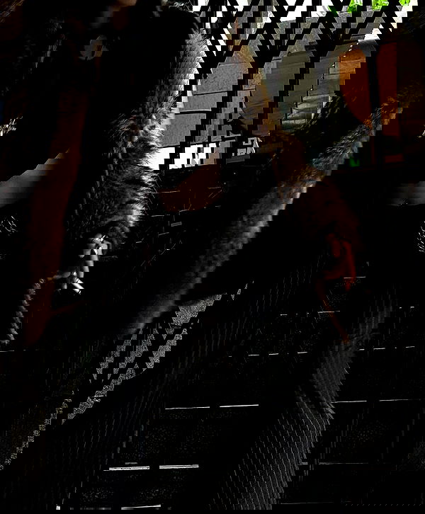 najavamp najavamp archive image