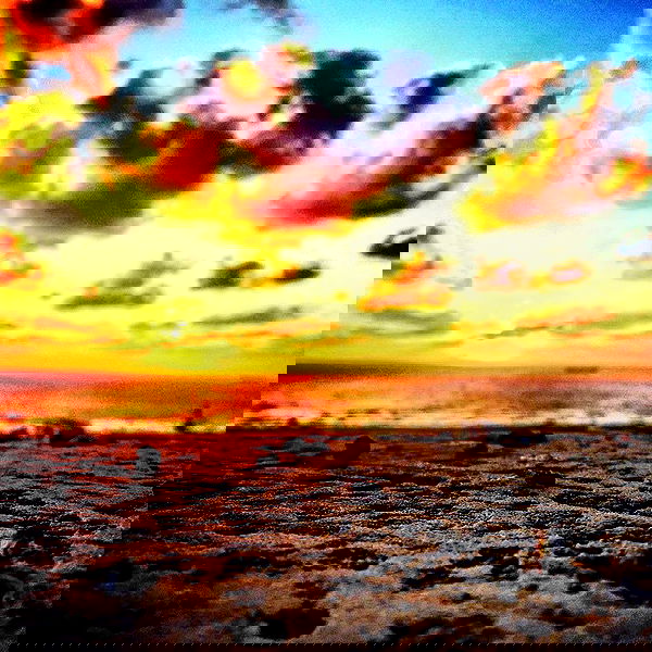 napopo_pub napopo_pub archive image