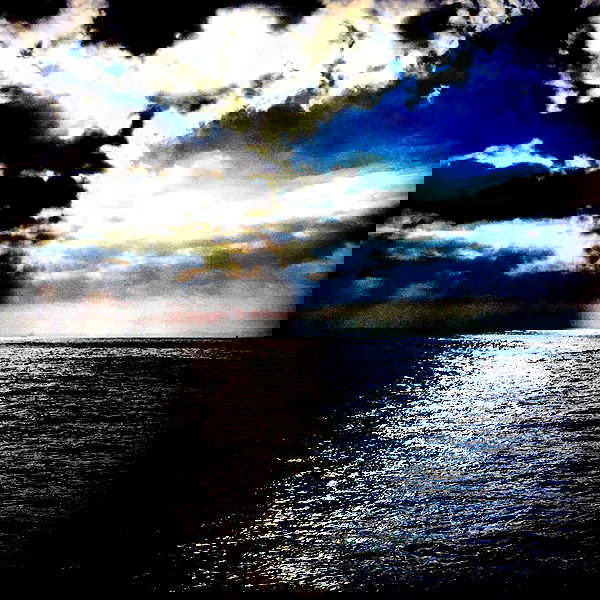 napopo_pub napopo_pub archive image