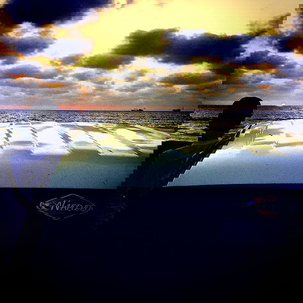 napopo_pub napopo_pub archive image