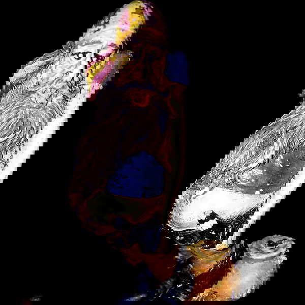 napopo_pub napopo_pub archive image