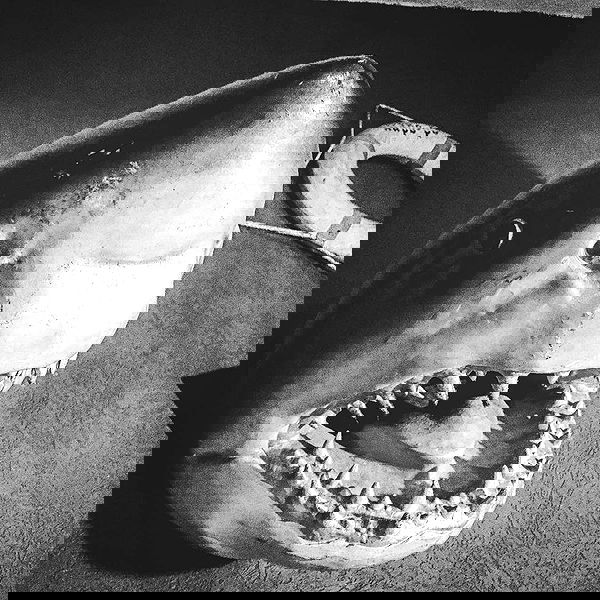 napopo_pub napopo_pub archive image