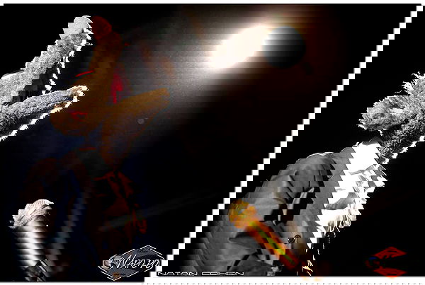 napopo_pub napopo_pub archive image