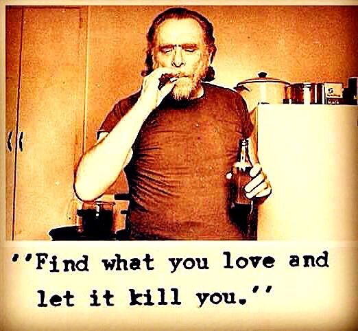 napopo_pub napopo_pub archive image