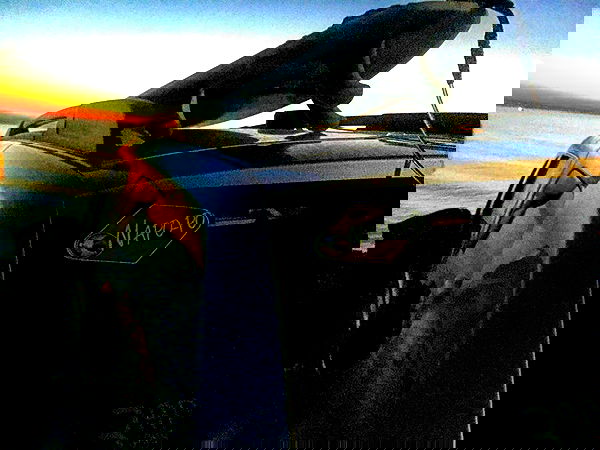 napopo_pub napopo_pub archive image