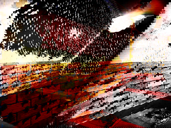 napopo_pub napopo_pub archive image