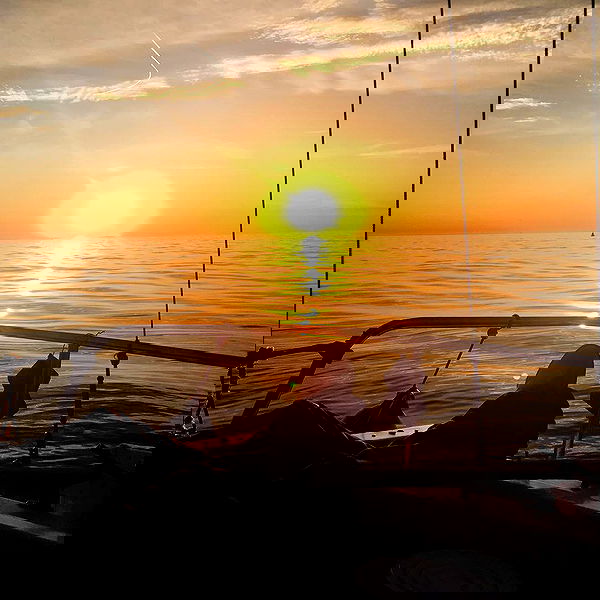 napopo_pub napopo_pub archive image