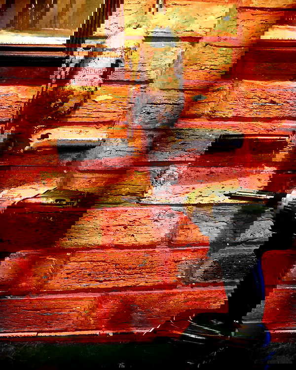 napopo_pub napopo_pub archive image