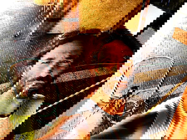 napopo_pub napopo_pub archive image