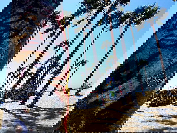 napopo_pub napopo_pub archive image