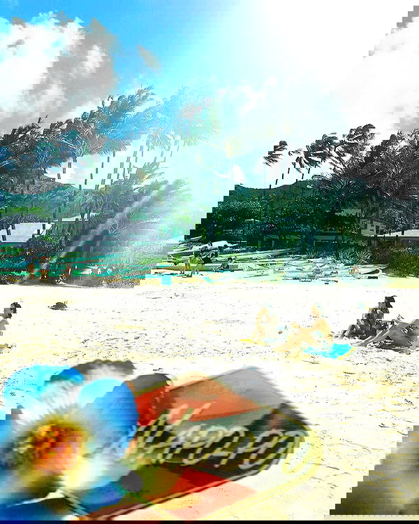 napopo_pub napopo_pub archive image