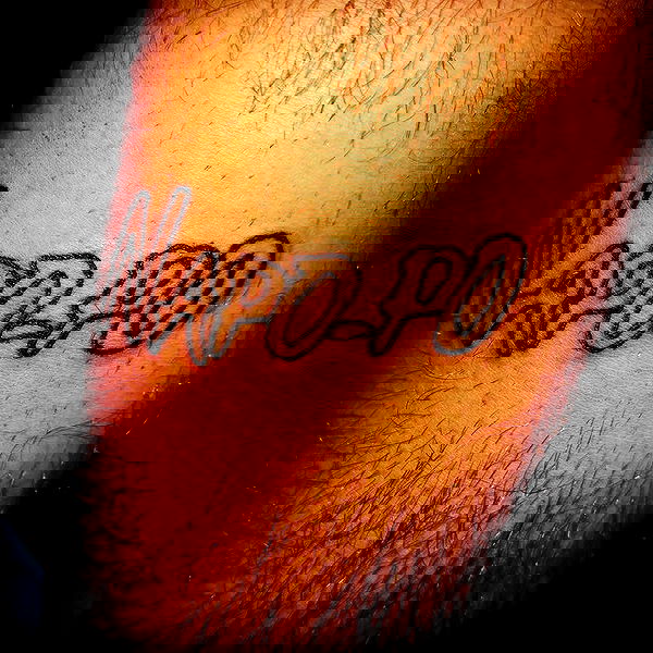 napopo_pub napopo_pub archive image