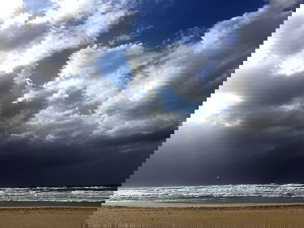 napopo_pub napopo_pub archive image