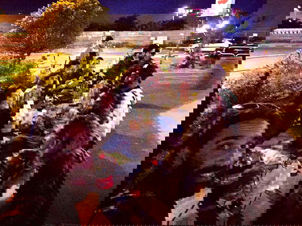 napopo_pub napopo_pub archive image