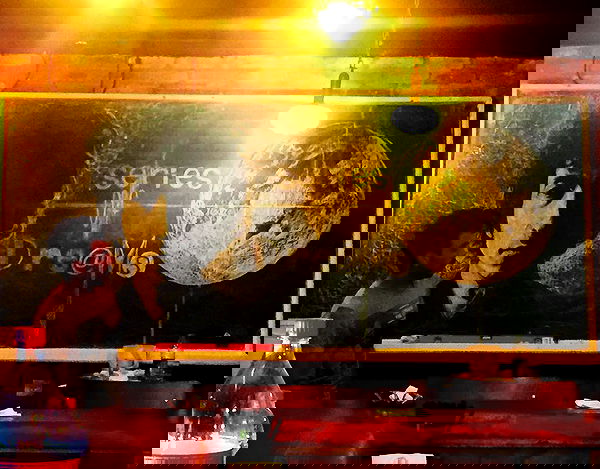 napopo_pub napopo_pub archive image