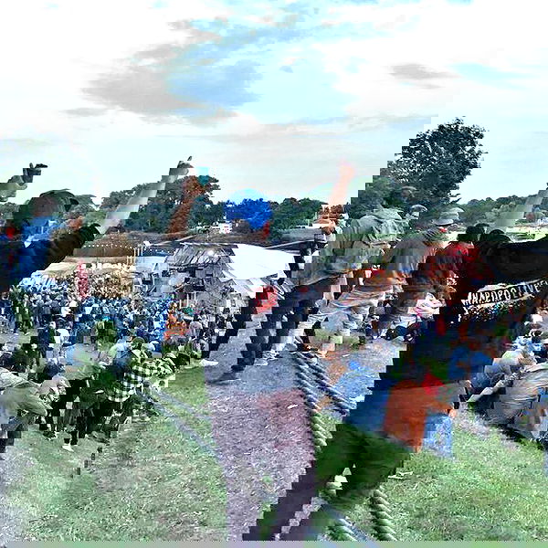 napopo_pub napopo_pub archive image