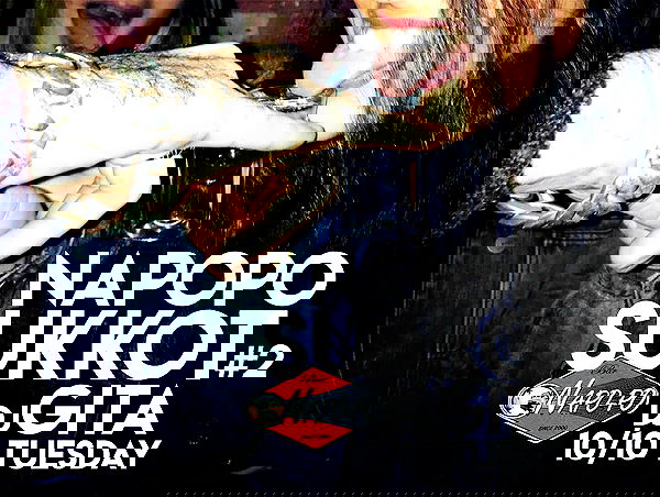 napopo_pub napopo_pub archive image