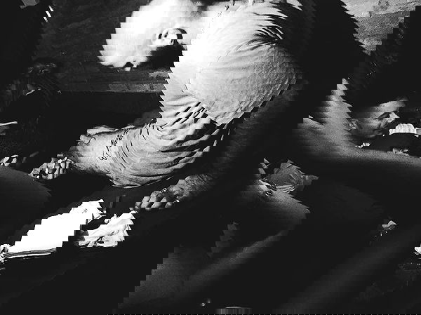 napopo_pub napopo_pub archive image