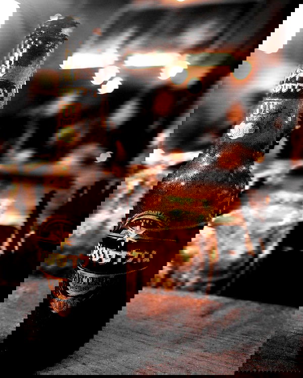 napopo_pub napopo_pub archive image