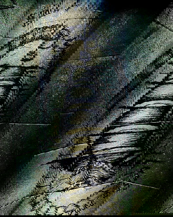 napopo_pub napopo_pub archive image