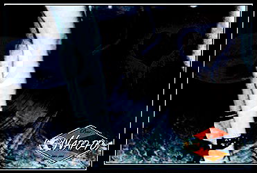 napopo_pub napopo_pub archive image