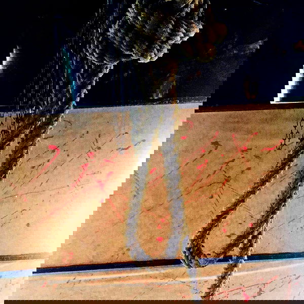 napopo_pub napopo_pub archive image