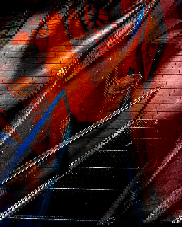 napopo_pub napopo_pub archive image