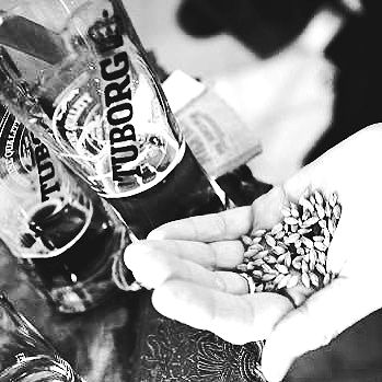 napopo_pub napopo_pub archive image