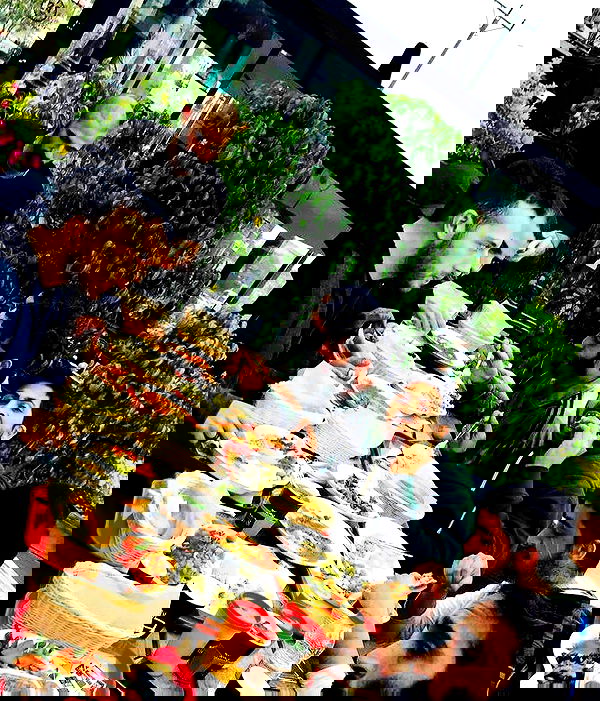 napopo_pub napopo_pub archive image