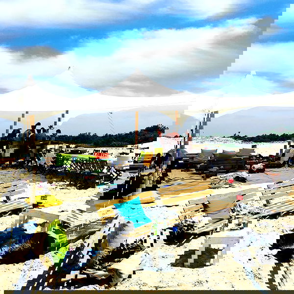 napopo_pub napopo_pub archive image