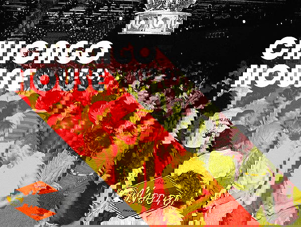 napopo_pub napopo_pub archive image