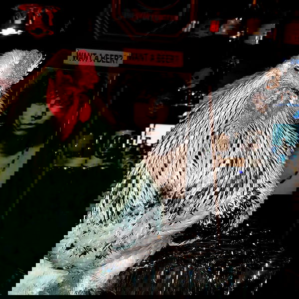 napopo_pub napopo_pub archive image