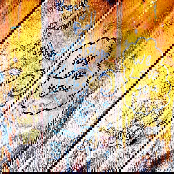 napopo_pub napopo_pub archive image