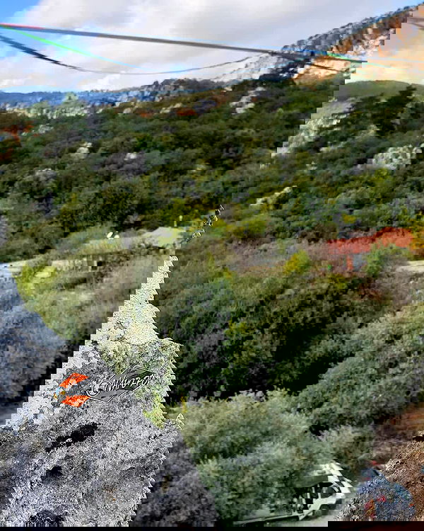 napopo_pub napopo_pub archive image