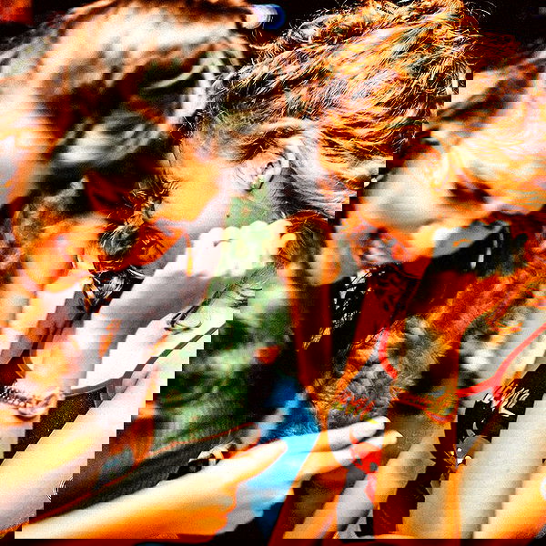 napopo_pub napopo_pub archive image