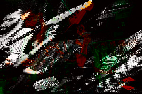 napopo_pub napopo_pub archive image