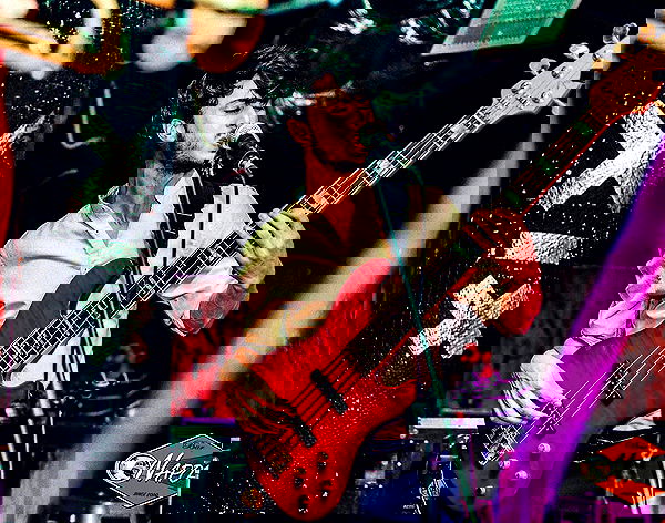 napopo_pub napopo_pub archive image