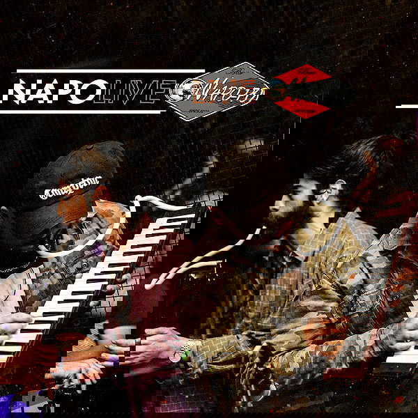 napopo_pub napopo_pub archive image