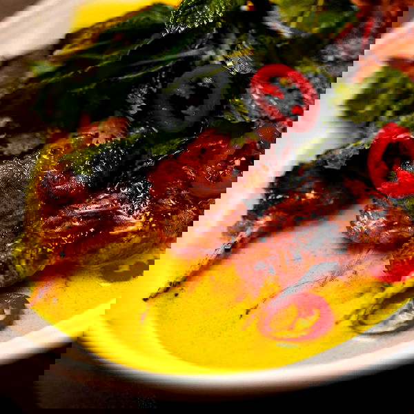 napopo_pub napopo_pub archive image