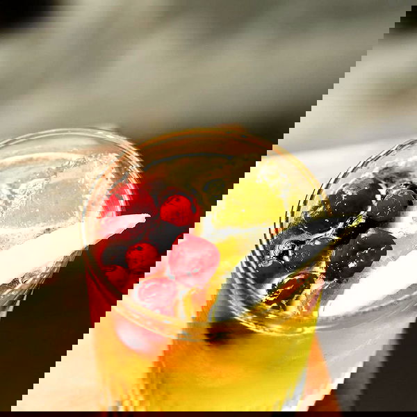 napopo_pub napopo_pub archive image