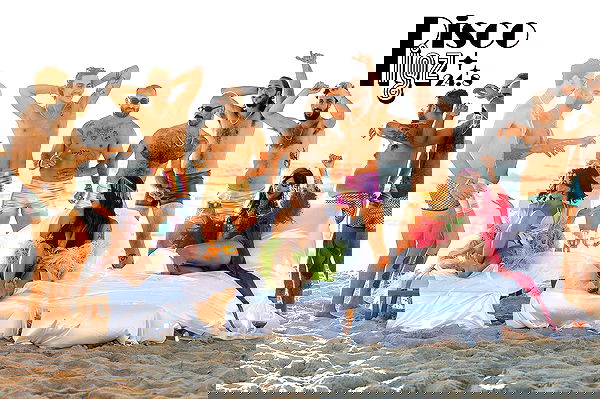 napopo_pub napopo_pub archive image