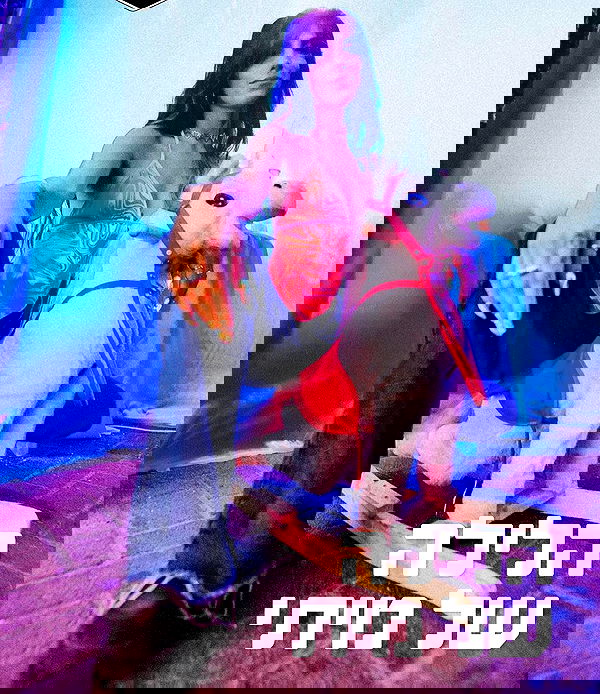 napopo_pub napopo_pub archive image