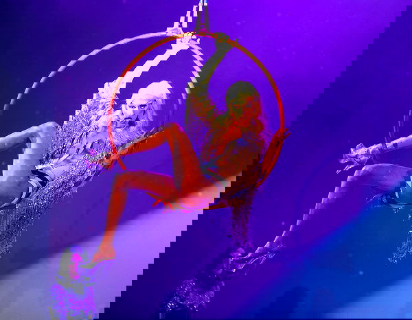 napopo_pub napopo_pub archive image