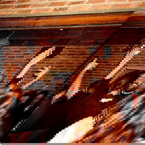 napopo_pub napopo_pub archive image